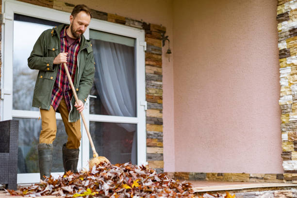 Yard Cleanup Services in Wilmington Island, GA