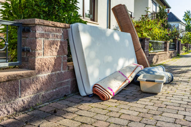 Best Basement Cleanout Services  in Wilmington Island, GA